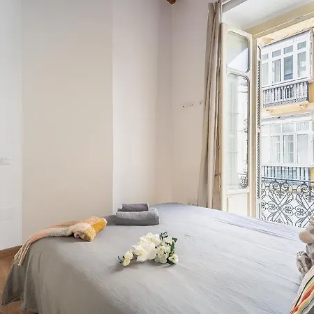 Deluxe Larios Center Apartament